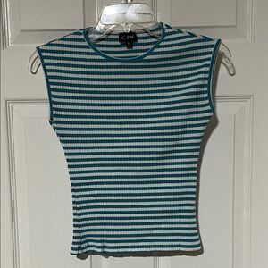 Striped Teal and White Sleeveless Cropped Top